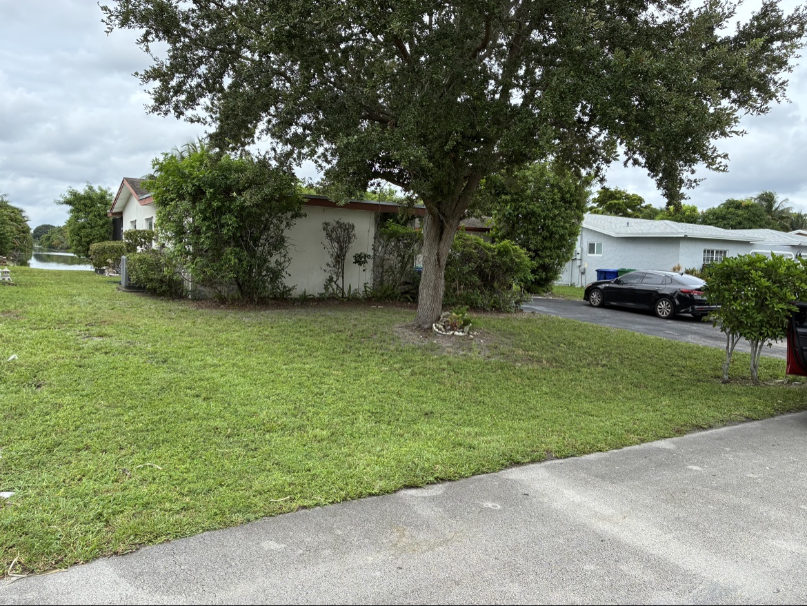 Finished lawn