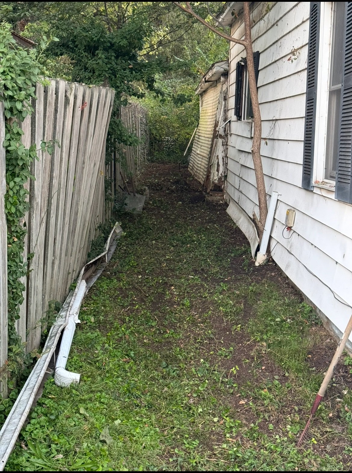Side yard after clearing