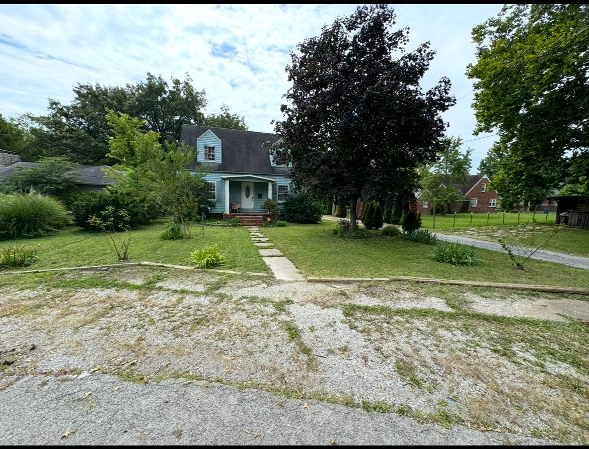 Lawn before mowing