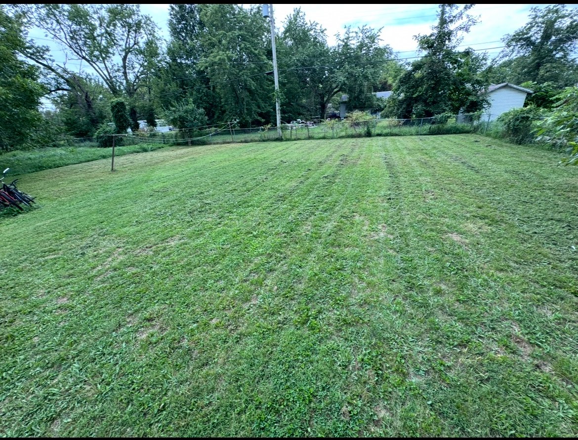 Mowed backyard