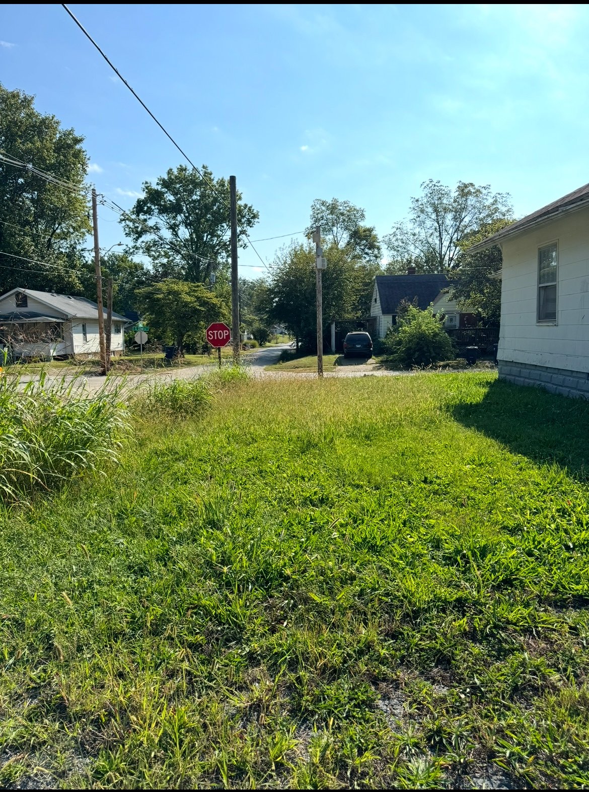 Overgrown yard before cleanup