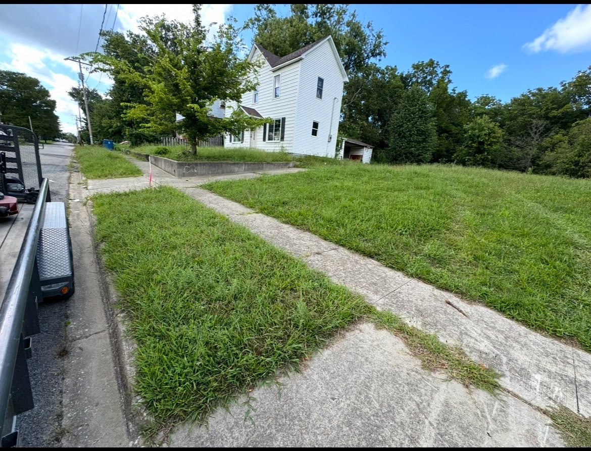 Overgrown sidewalk before cleanup